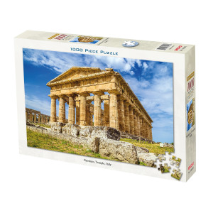 PUZZLE PAESTUM ITALIA (100-265)