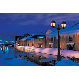 PUZZLE CANAL OTARO ILUM. (100-335)*12