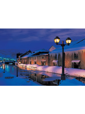 PUZZLE CANAL OTARO ILUM. (100-335)*12