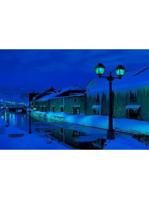 PUZZLE CANAL OTARO ILUM. (100-335)*12